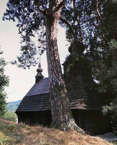 img00008.jpg