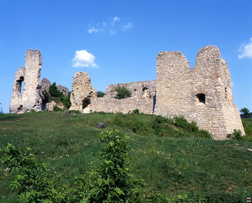 img00003.jpg