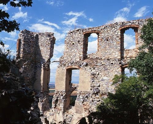 img00006.jpg