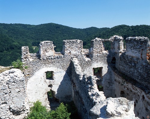 img00010.jpg