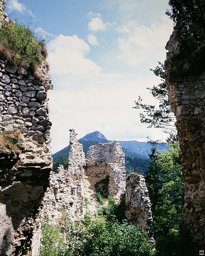 img00015.jpg