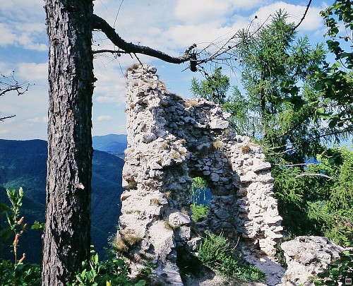 img00016.jpg