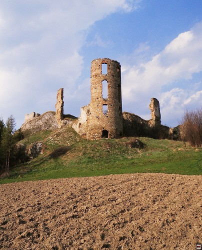 img00019.jpg