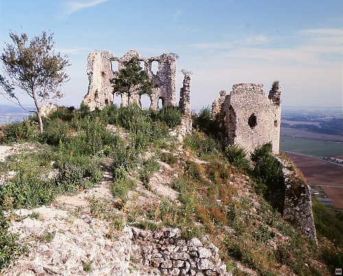 img00025.jpg