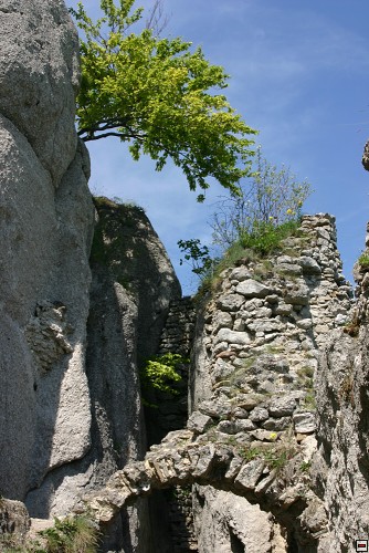 img00034.jpg