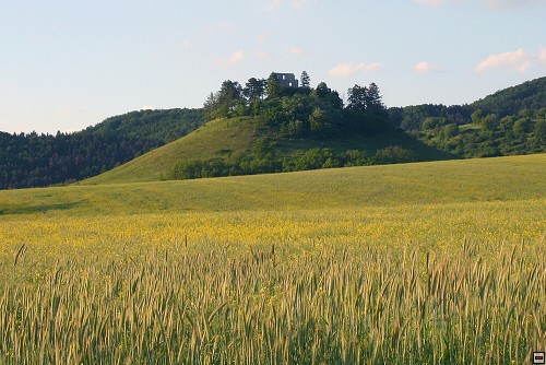 img00036.jpg