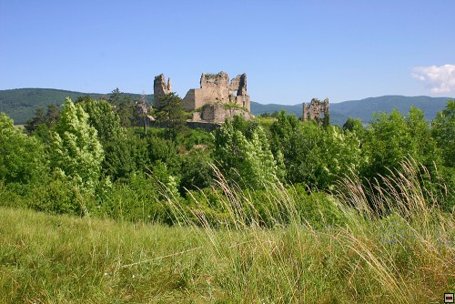 img00038.jpg