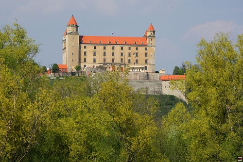 img00047.jpg