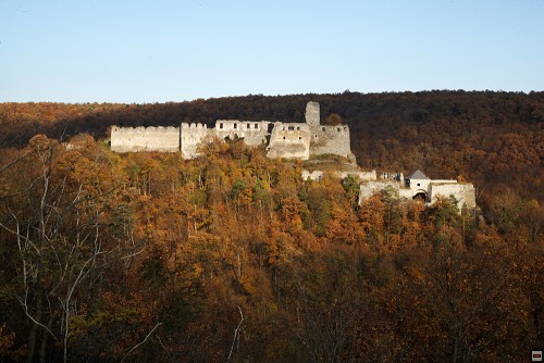 img00056.jpg