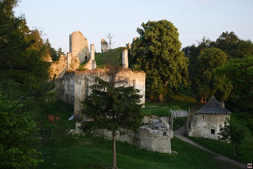 img00058.jpg