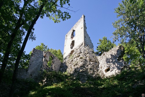 img00062.jpg