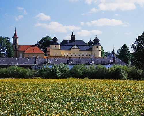 img00006.jpg