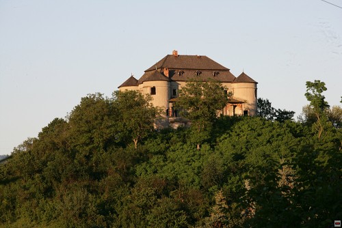 img00020.jpg