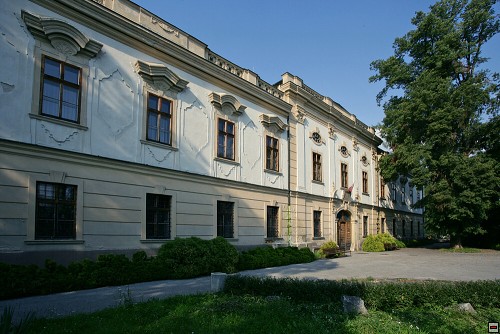 img00042.jpg