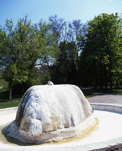 img00004.jpg