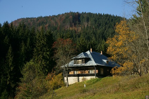 img00011.jpg