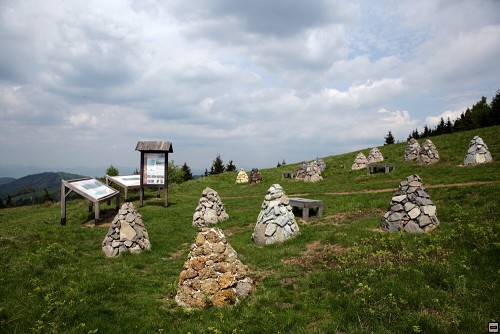 img00015.jpg