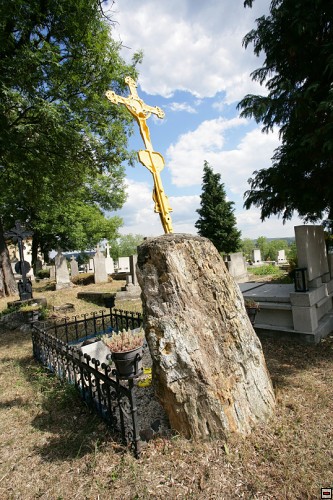 img00050.jpg