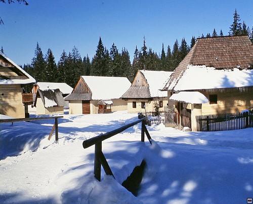 img00001.jpg