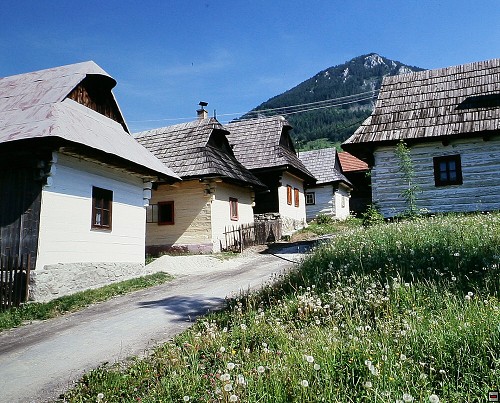 img00003.jpg