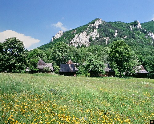 img00005.jpg