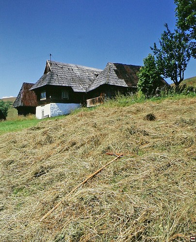 img00006.jpg
