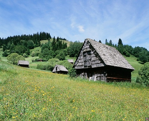 img00007.jpg