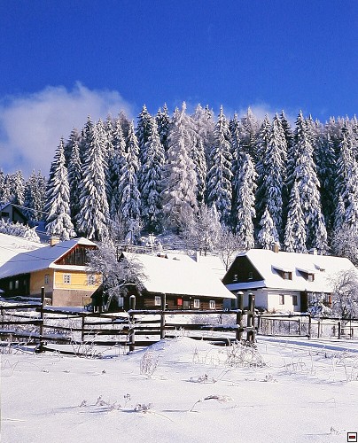 img00010.jpg