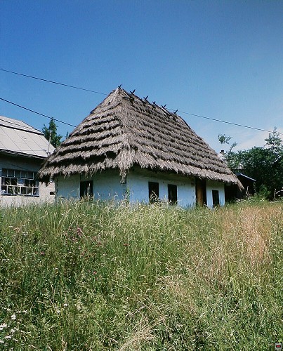 img00013.jpg