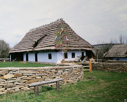 img00014.jpg