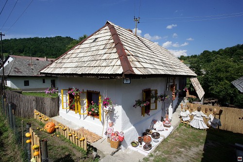 img00021.jpg