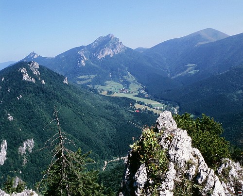 img00001.jpg