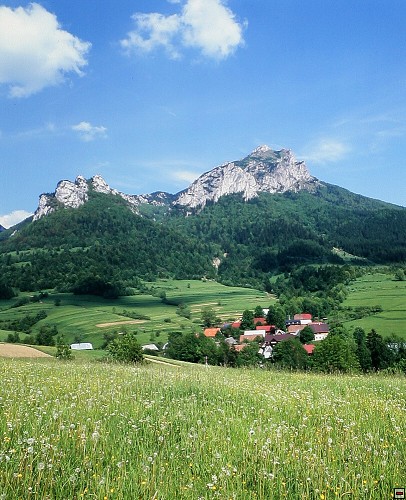 img00002.jpg
