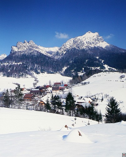 img00004.jpg