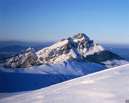 img00005.jpg