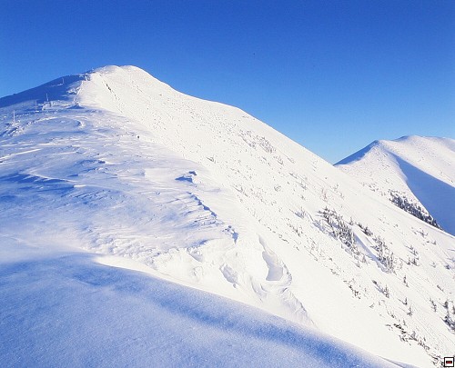 img00006.jpg