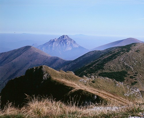 img00008.jpg