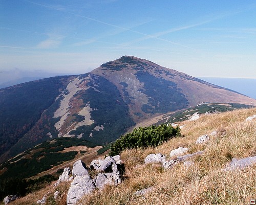 img00009.jpg