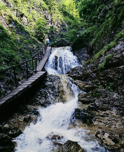 img00011.jpg