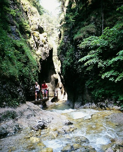 img00012.jpg