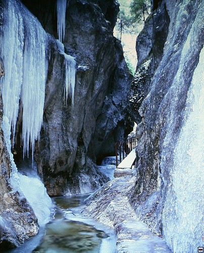 img00013.jpg