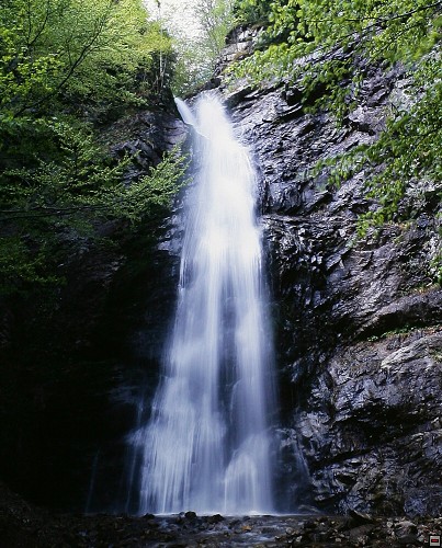 img00014.jpg