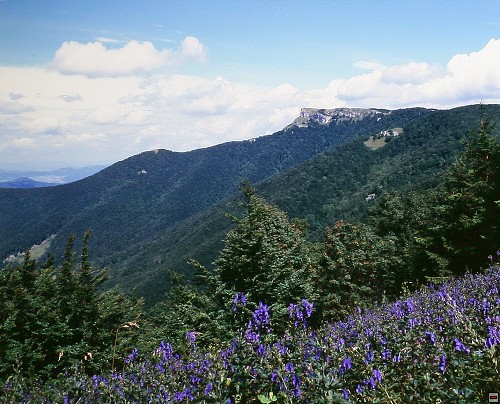 img00015.jpg