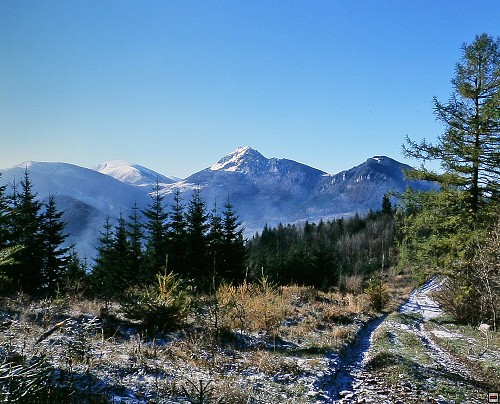 img00016.jpg