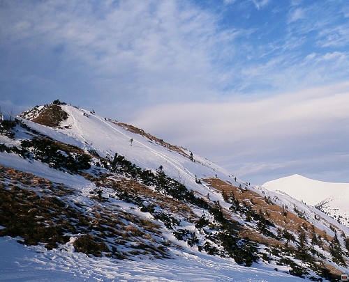 img00018.jpg