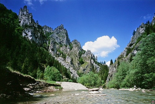 img00019.jpg