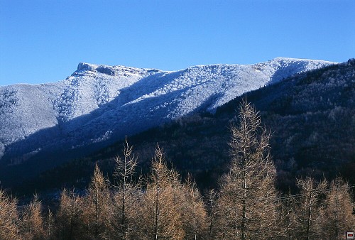 img00021.jpg