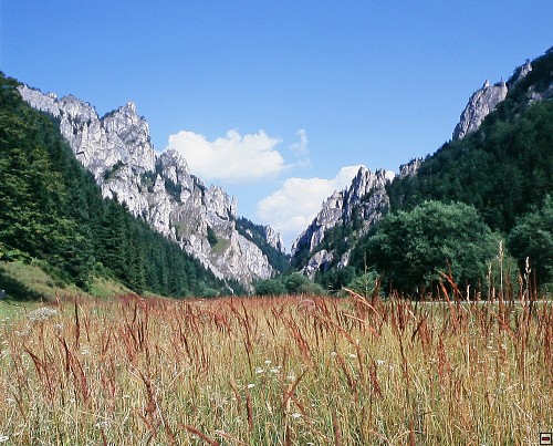 img00022.jpg