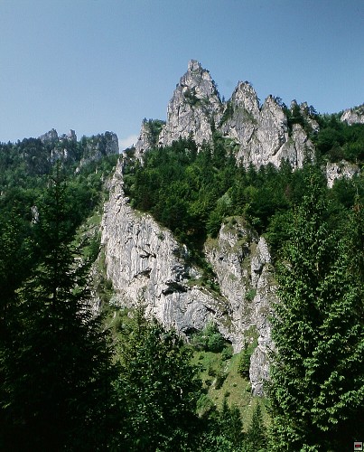 img00024.jpg