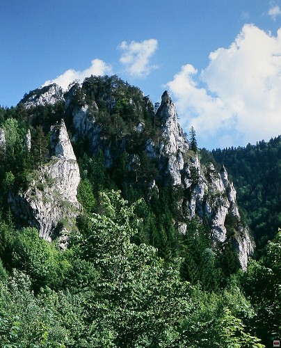 img00025.jpg